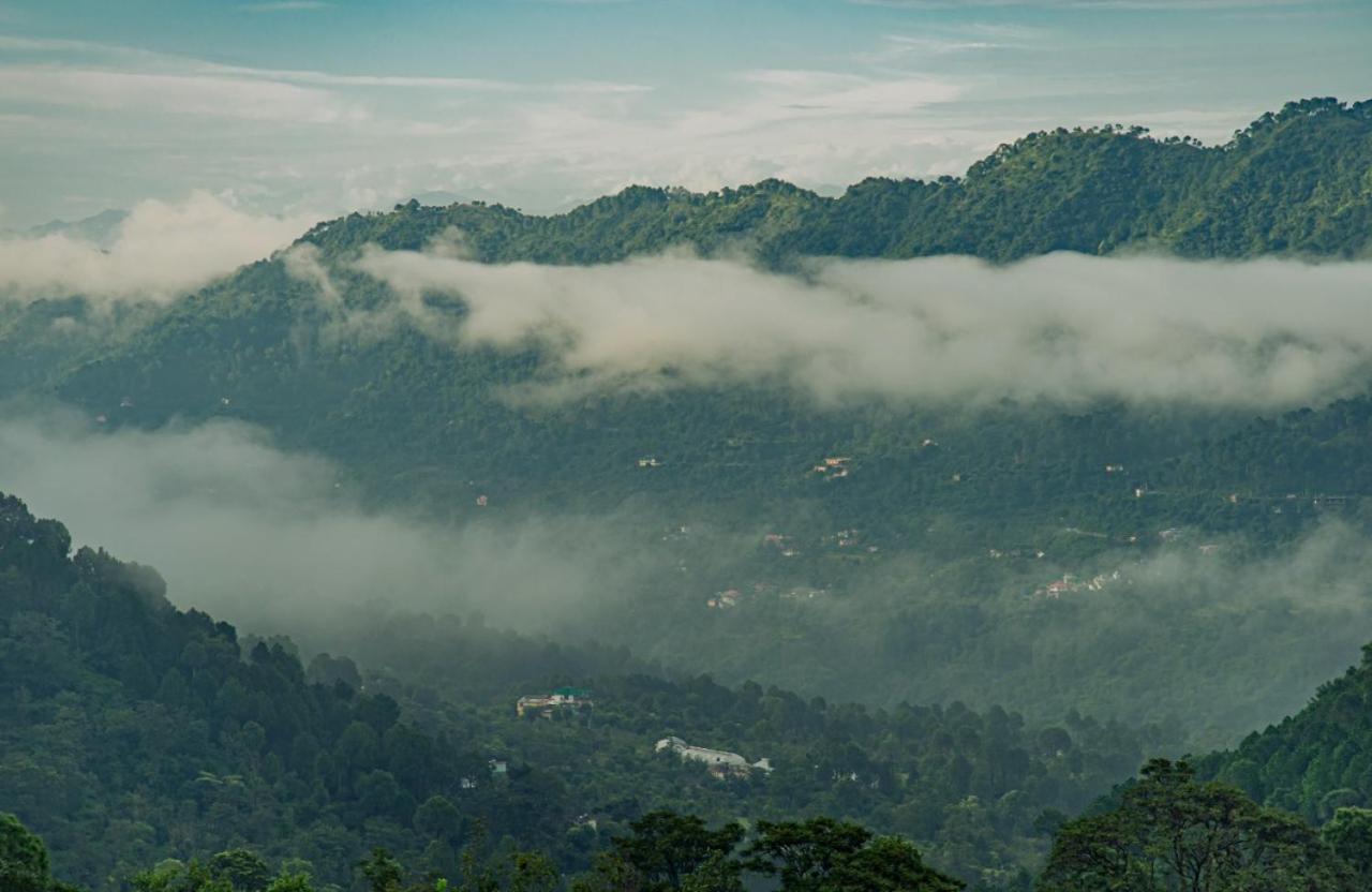 The Woods View: Serene Retreat By Exotic * Kasauli
