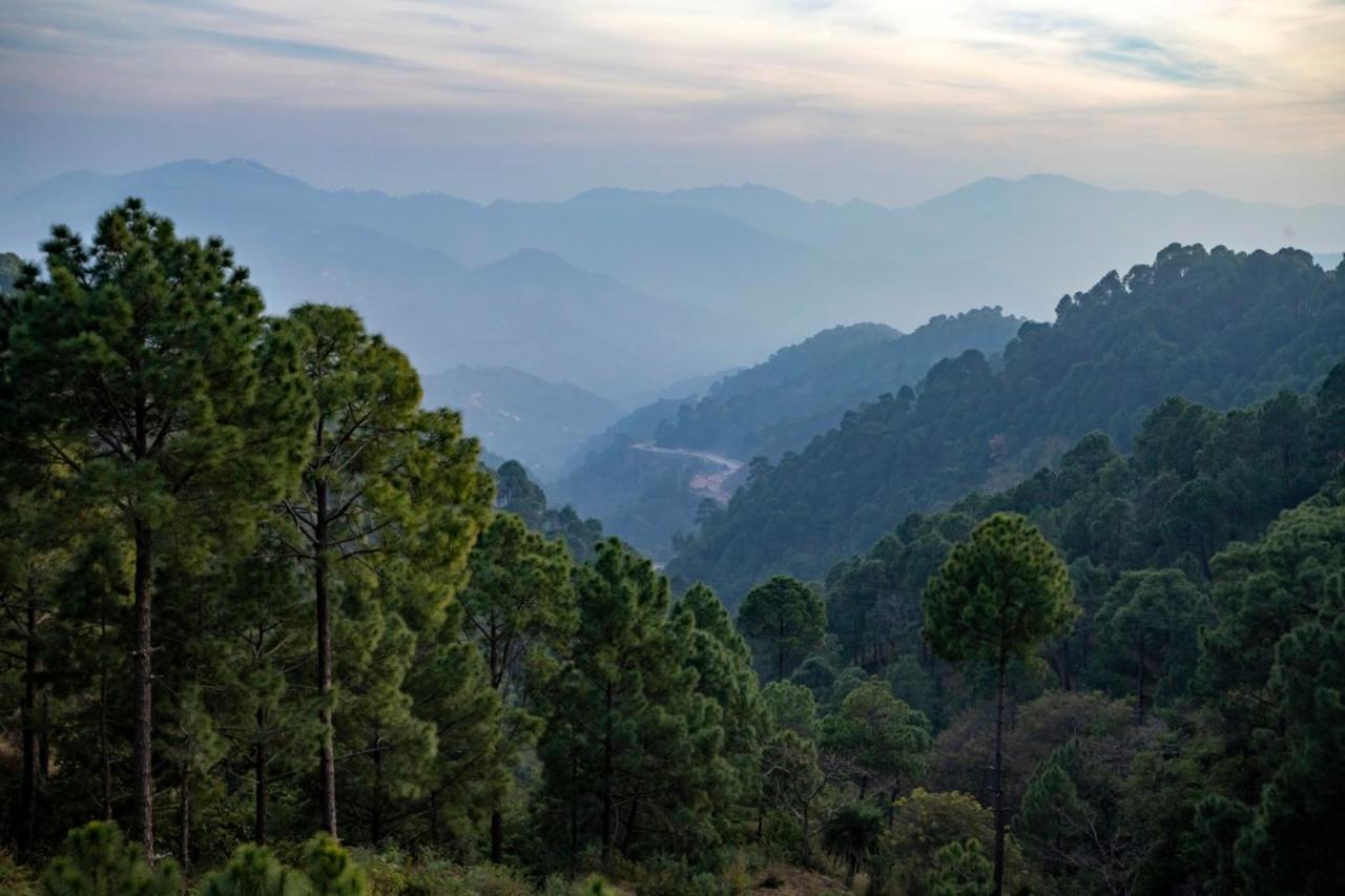 The Woods View: Serene Retreat By Exotic