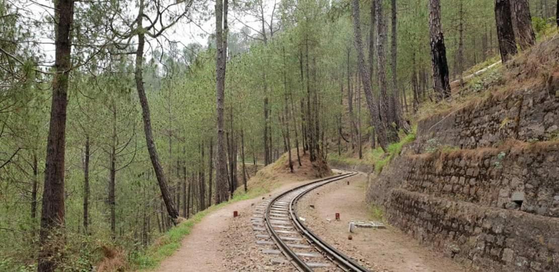 The Woods View: Serene Retreat By Exotic Kasauli