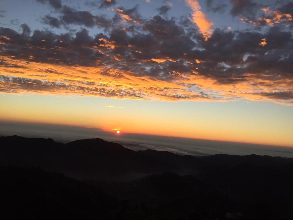 The Woods View: Serene Retreat By Exotic * Kasauli